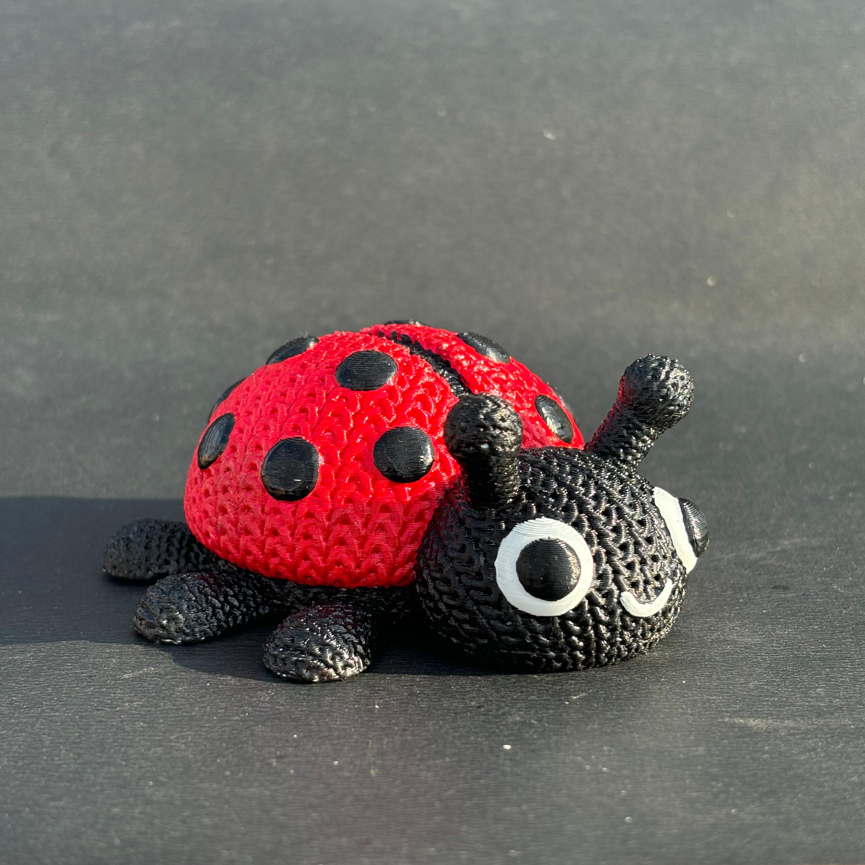 Knitted Ladybug